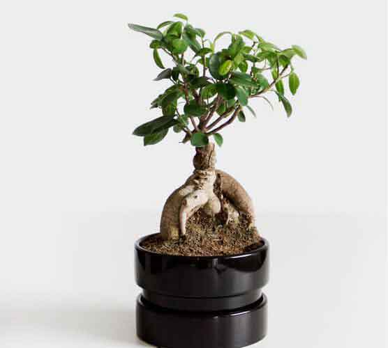 网站ddos隐藏源ip