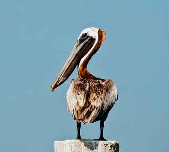 【软件评测报告】深度体验的DDOS攻击教程